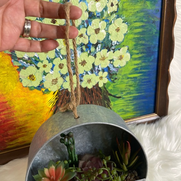 Metal Wall Planter with succulent - Picture 4 of 5